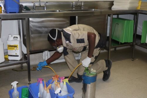 Best Pest Control Services in Qatar