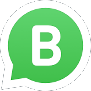 whats app icon